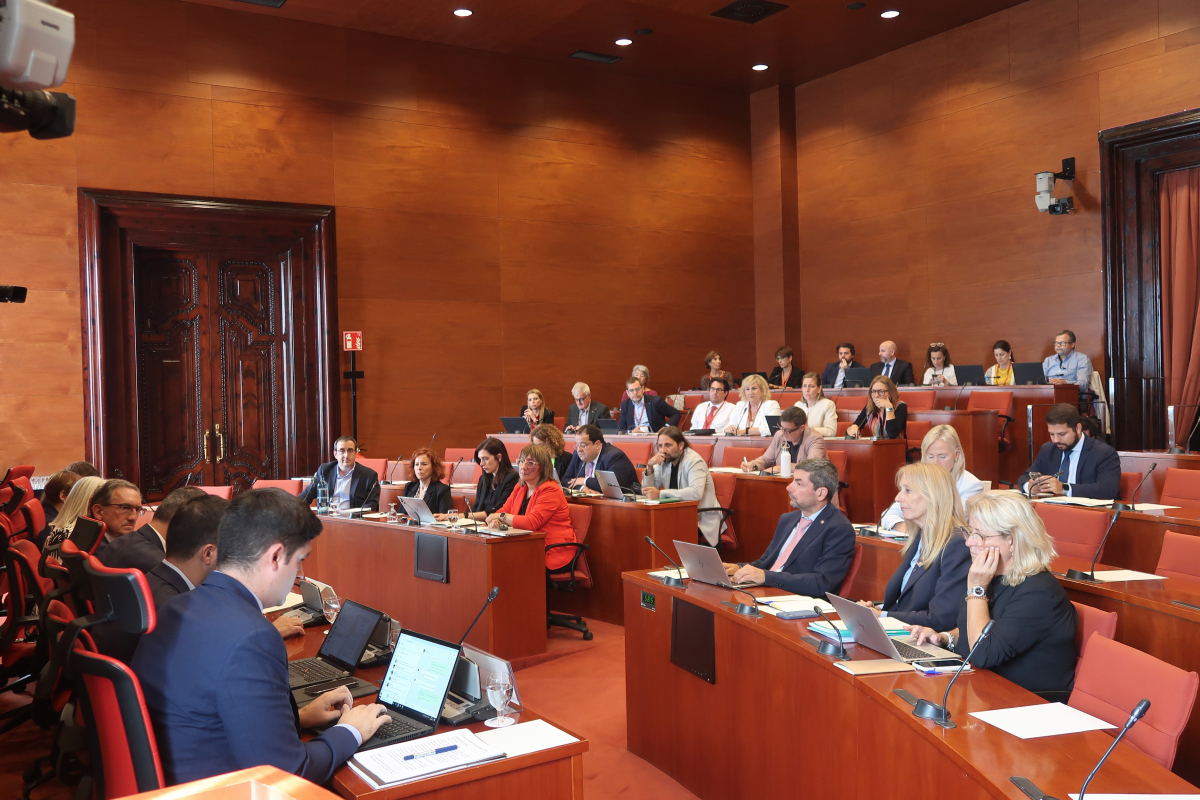 El PP pide al Govern recuperar el liderazgo empresarial y reducir la “excesiva regulación y el intervencionsimo” para facilitar el crecimiento empresarial