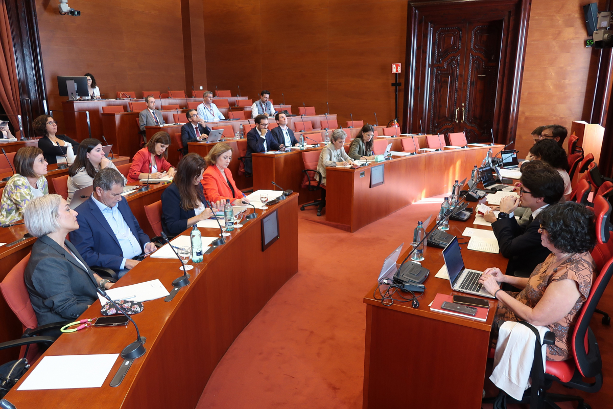 El PP pide que Política Lingüística promocione el uso del castellano y no lo sancione