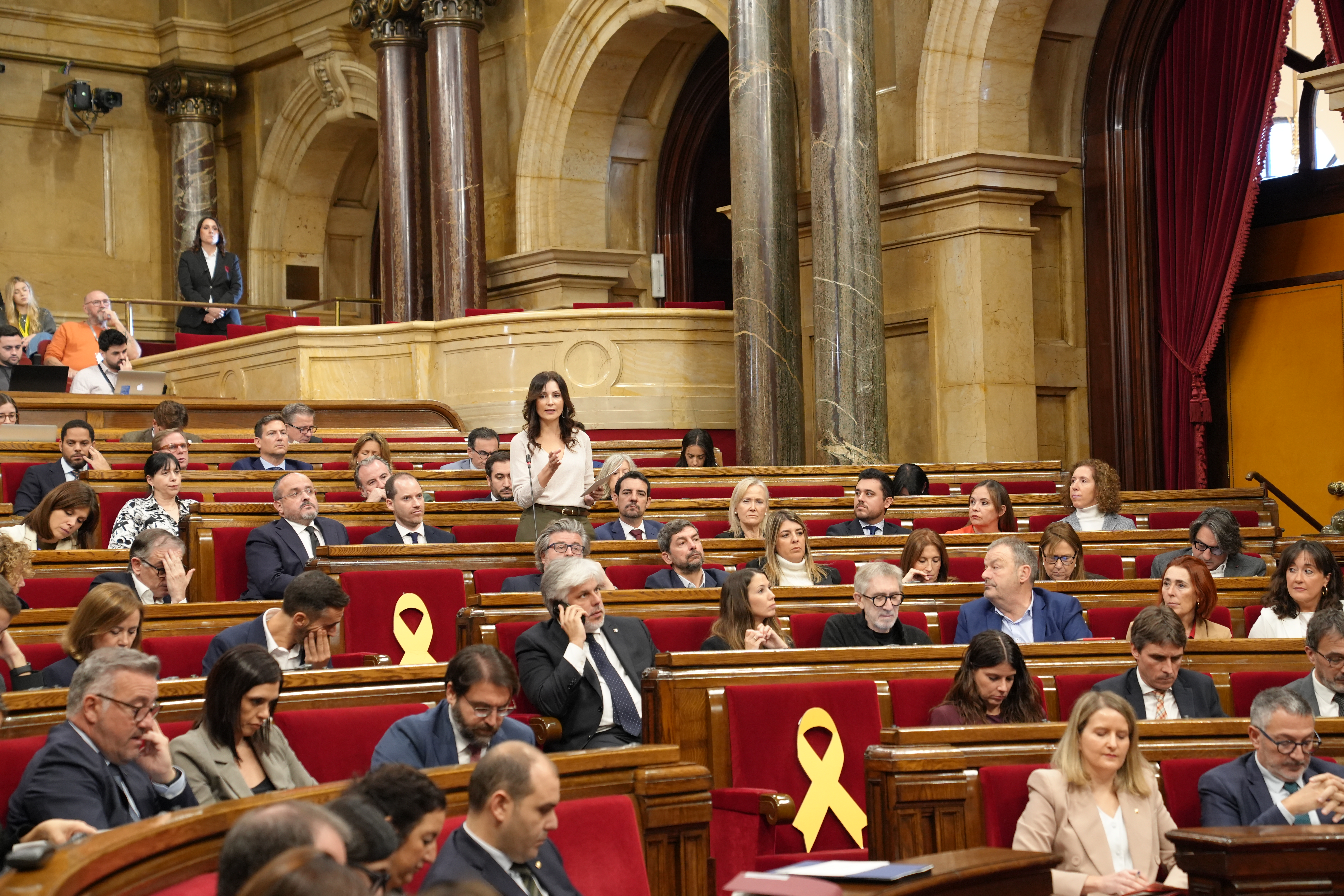 Lorena Roldán acusa al Govern de “corrupción institucionalizada” por el escándalo de la DGAIA